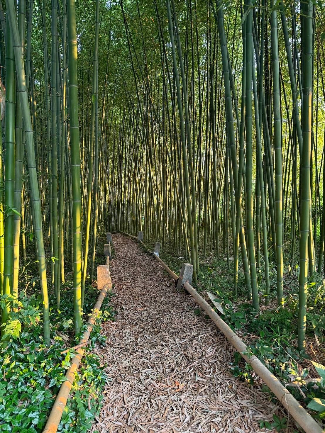 境内散策