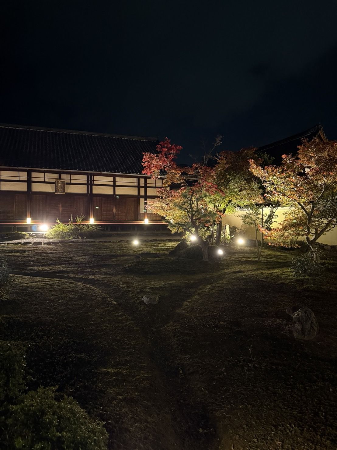 過去の夜間照明の様子